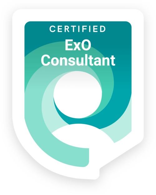 Ex0 Consultant